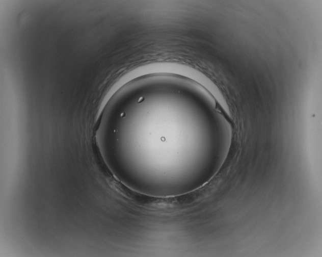X0000111350756200907101210
