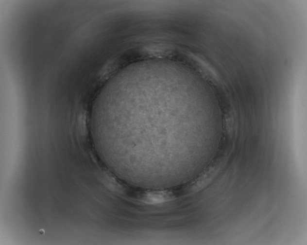 X0000111350757200907101210