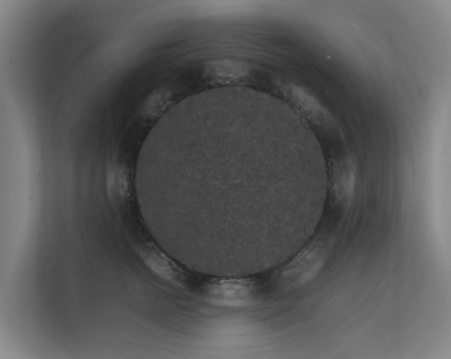 X0000111350758200907101210