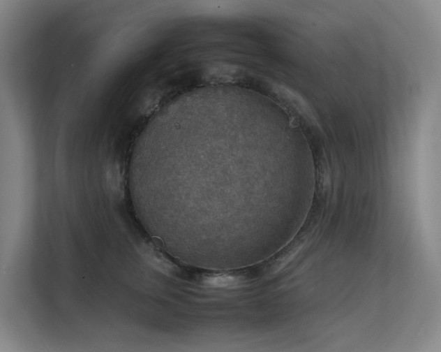 X0000111350759200907101210
