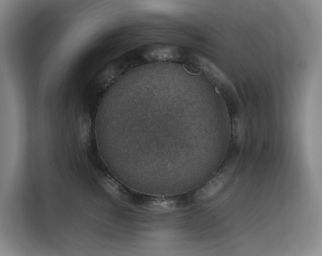 X0000111350760200907101210
