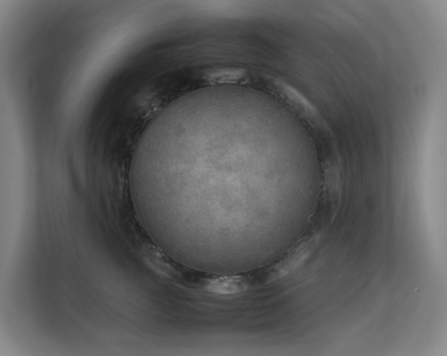 X0000111350761200907101210