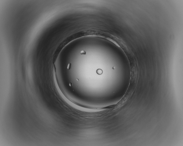 X0000111350762200907101210