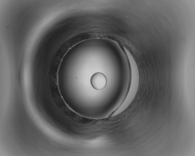 X0000111350764200907101210