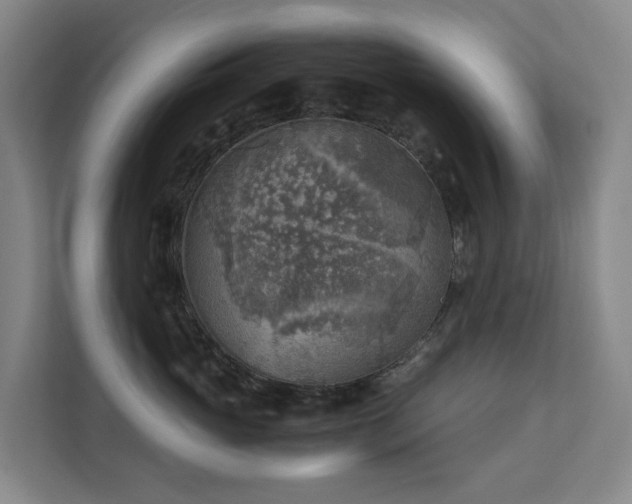 X0000111350765200907101210