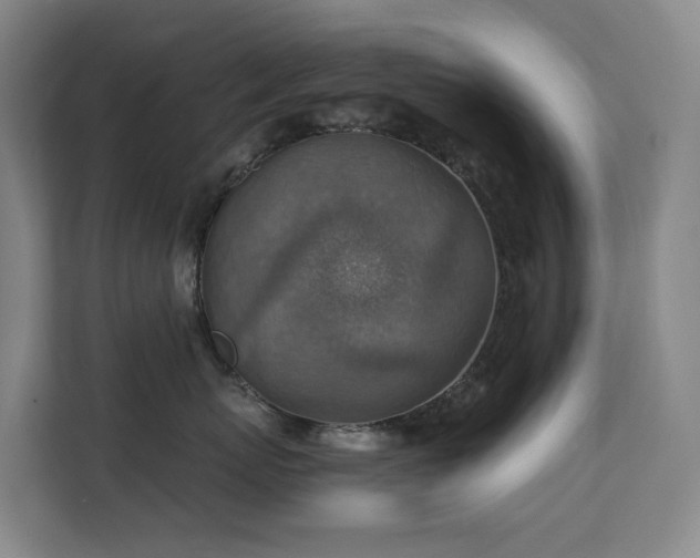 X0000111350767200907101210