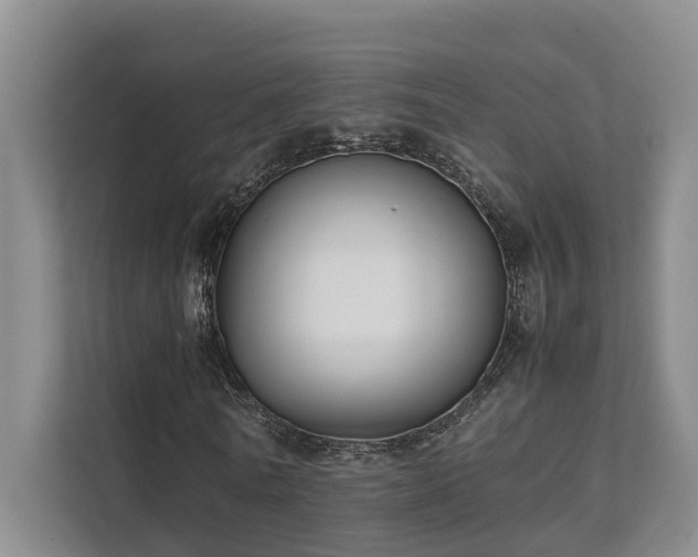 X0000111350770200907101209