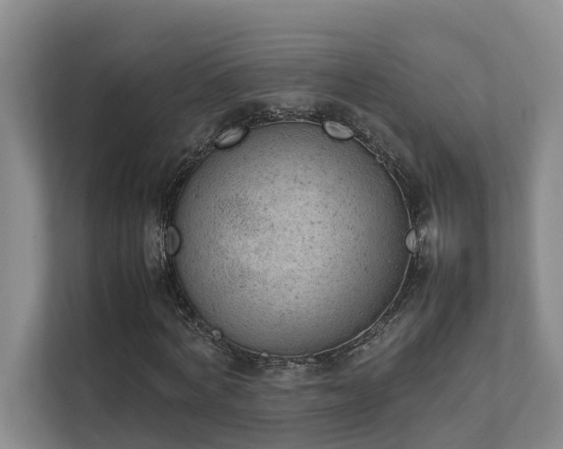 X0000111350772200907101209
