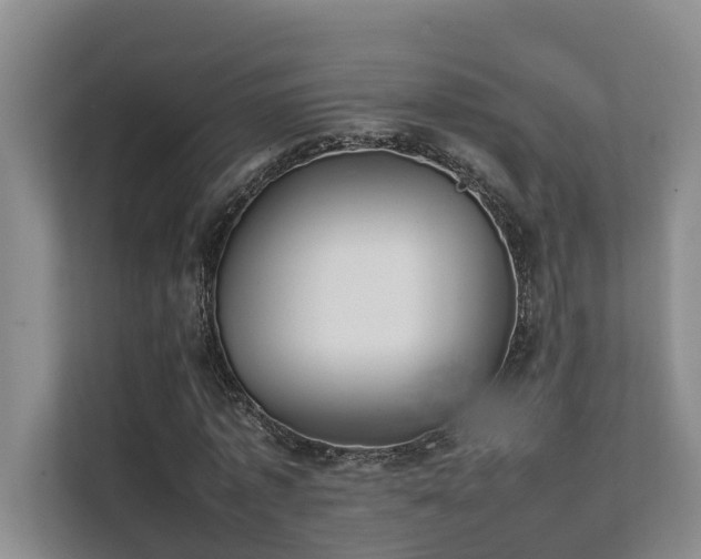 X0000111350773200907101209
