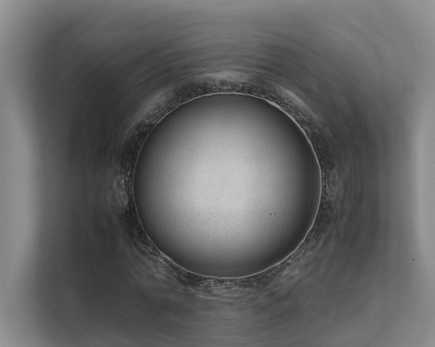 X0000111350774200907101209