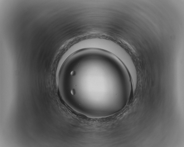 X0000111350776200907101209