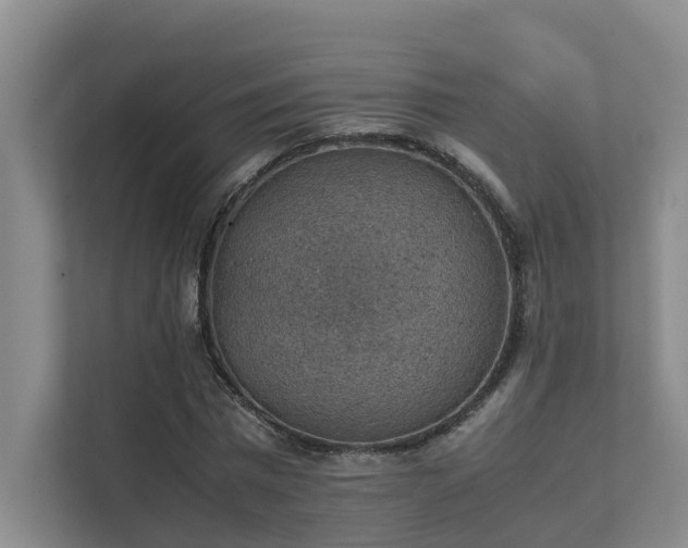 X0000111350777200907101209