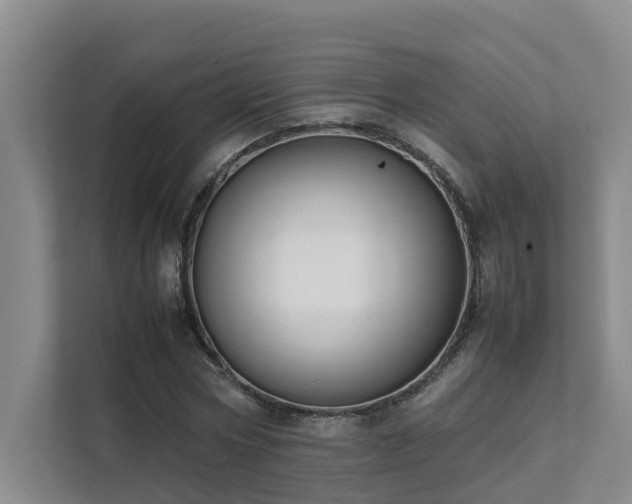 X0000111350778200907101209