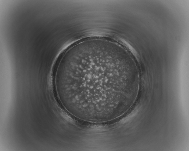 X0000111350779200907101209