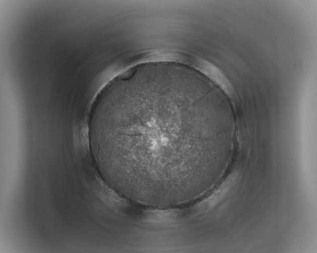 X0000111350781200907101209