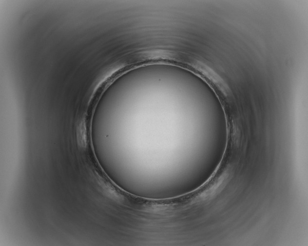 X0000111350782200907101209