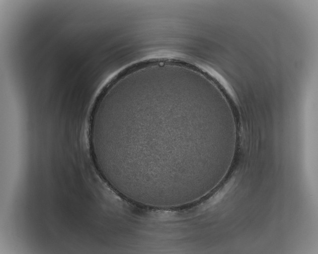 X0000111350783200907101209