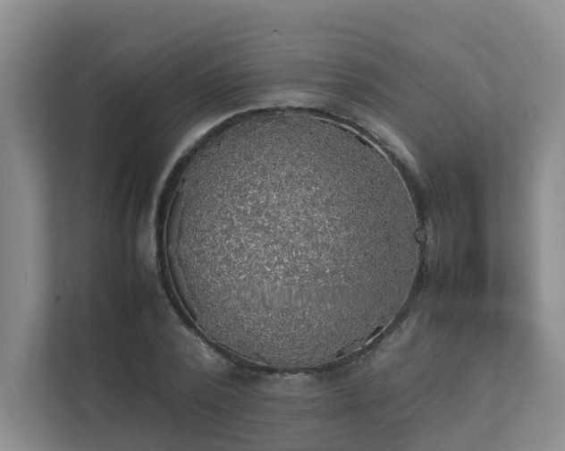 X0000111350784200907101209
