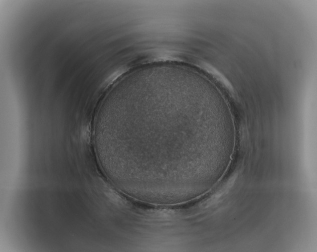 X0000111350785200907101209