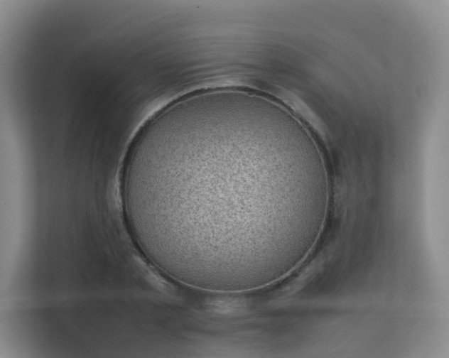 X0000111350789200907101209