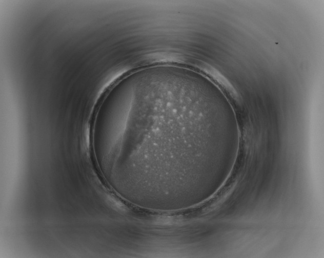 X0000111350790200907101209