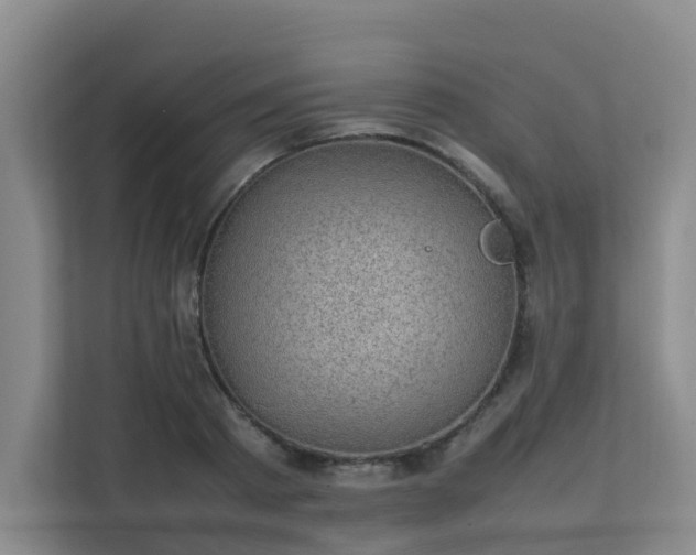 X0000111350793200907101209