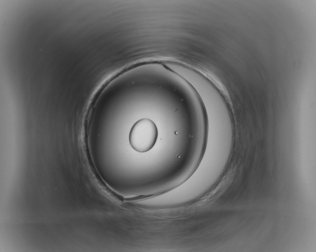 X0000111350797200907101209