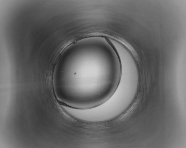 X0000111350801200907101209