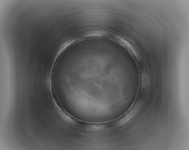X0000111350802200907101209