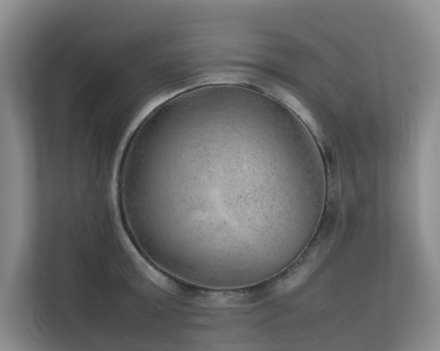 X0000111350803200907101209