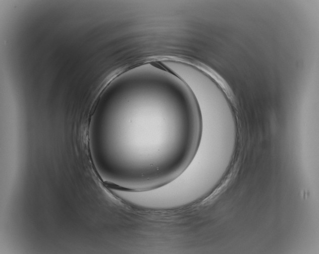 X0000111350809200907101209