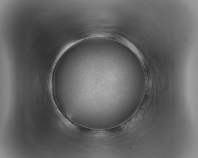 X0000111350811200907101209