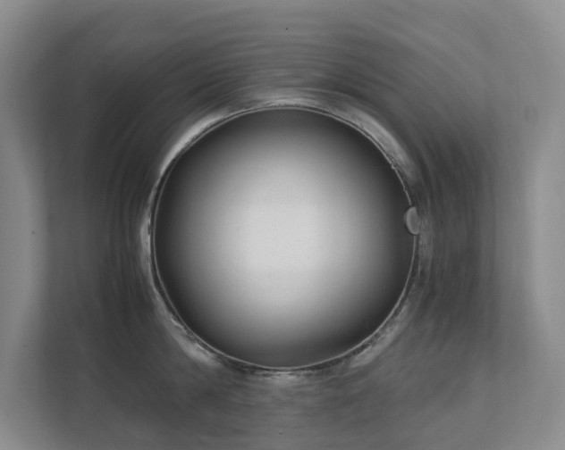 X0000111350814200907101209