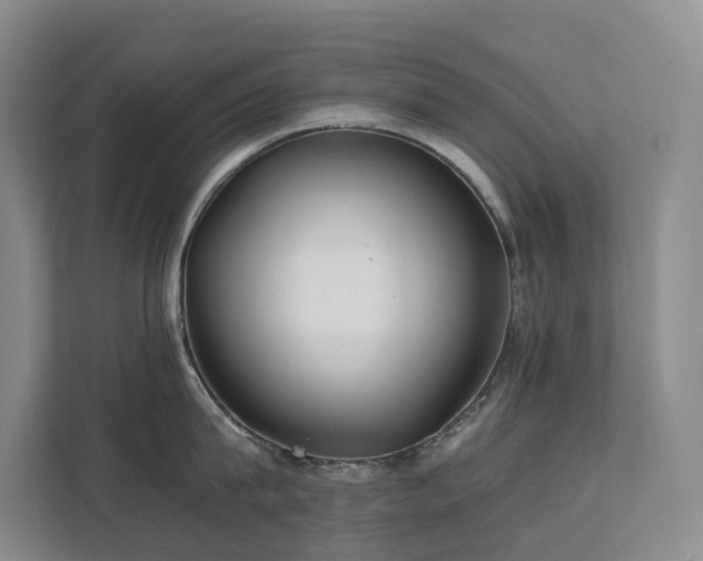 X0000111350815200907101208