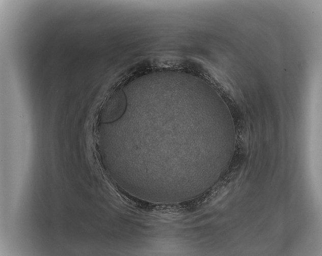 X0000111350817200907101208