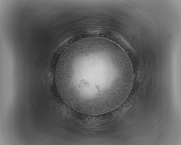 X0000111350821200907101208