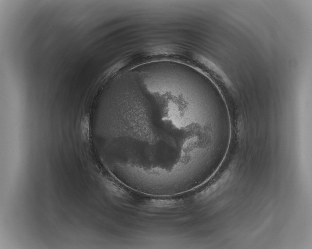 X0000111350825200907101208