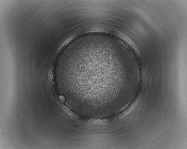 X0000111350826200907101208