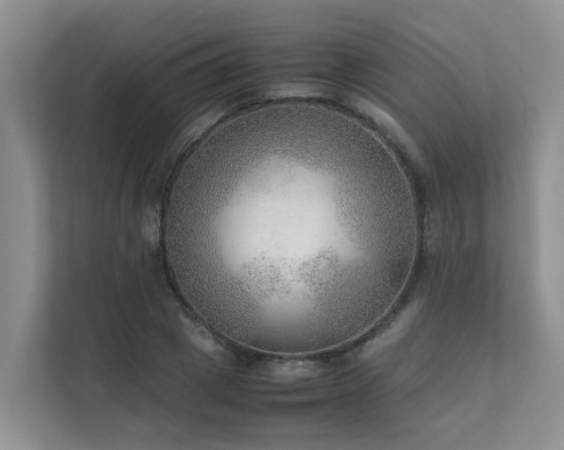 X0000111350833200907101208