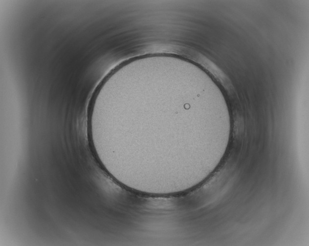 X0000111350836200907101208