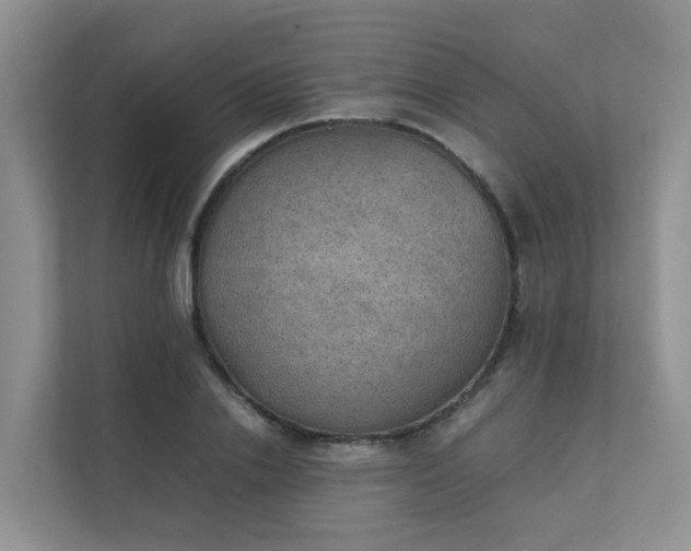 X0000111350838200907101208