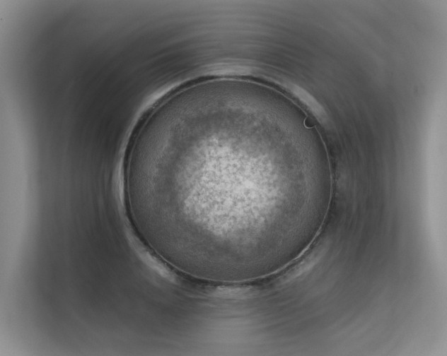 X0000111350840200907101208