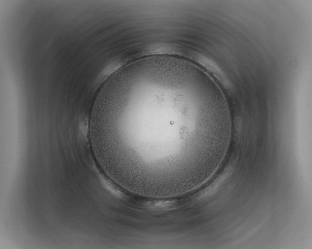 X0000111350841200907101208
