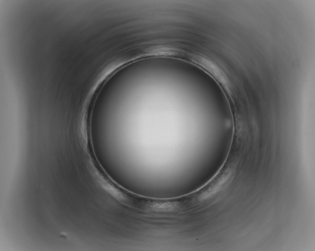 X0000111350843200907101208