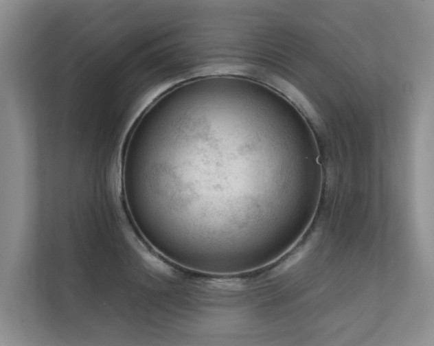 X0000111350844200907101208