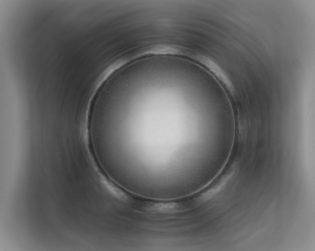 X0000111350845200907101208