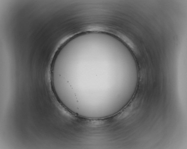 X0000111350848200907101208