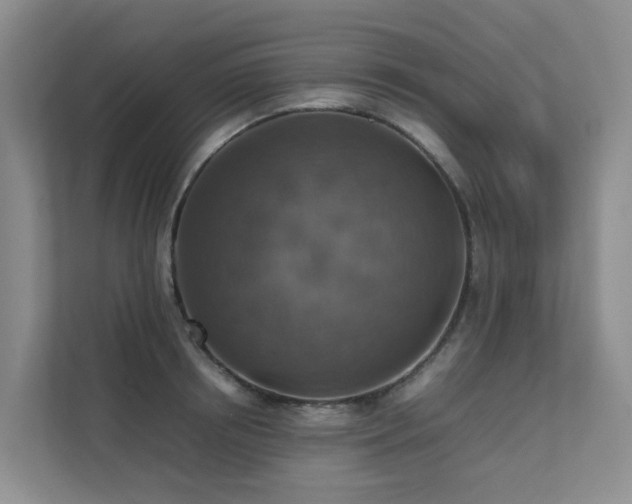 X0000111350850200907101208