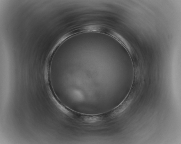 X0000111350851200907101208