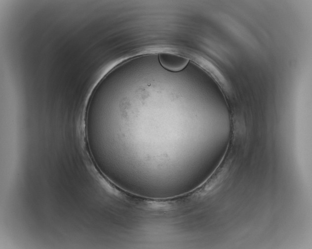 X0000111350852200907101208